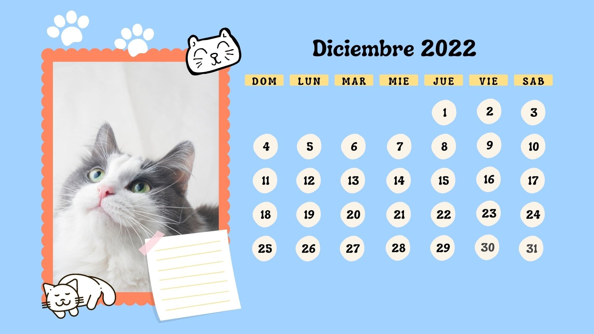 Calendario de pared 2022 Gatos Calendario 2022 regalo original para gatos 